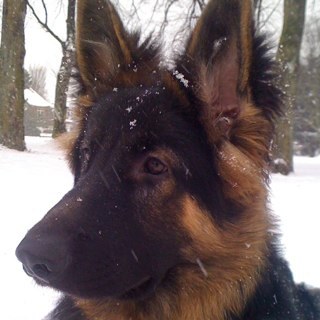 andymac425's profile picture. What's a Bio?