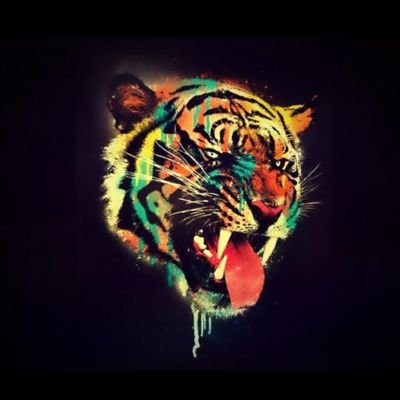 David_candela92's profile picture. MOMENTO OPORTUNO