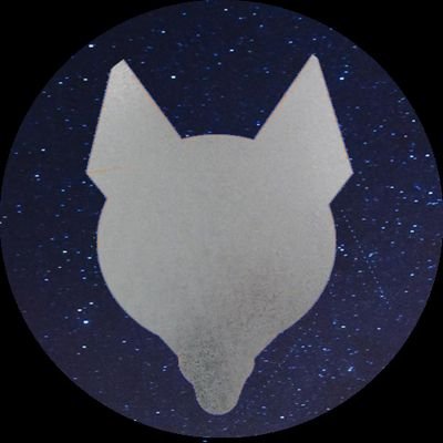 lost_tin's profile picture. 