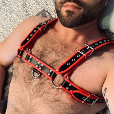 Hi. Just a laid-back couple of friendly perverts in the 614. 🏳️🌈🤜🏻🐷🌿 420 🟦 sky: https://t.co/wMYQPdyaQf