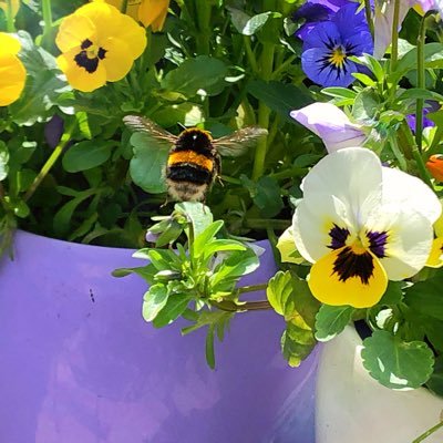 grace_is_so_so's profile picture. just browsing