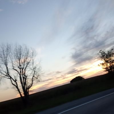 Matthew43147893's profile picture. Living my best life