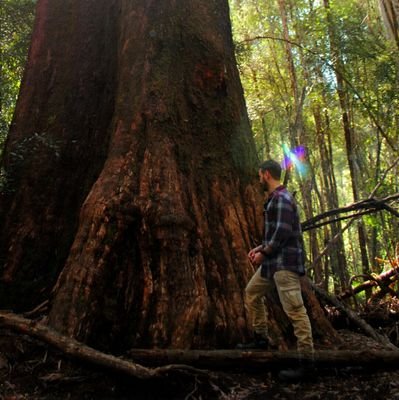 PhD student interested in the conservation and restoration of forests globally.
Dignity and wellbeing for people and nature.