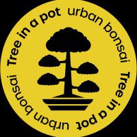 TREE IN A POT (@treeinapot) 's Twitter Profile