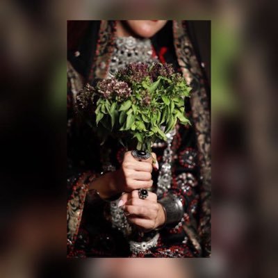 t5KSFOdDUlcpr2K's profile picture. متاهَاتٌ عديدة والمخرج دعــاء٬ اللهم ما بالقلب 🤲🏻