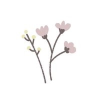 あき (@wax__wan) 's Twitter Profile Photo