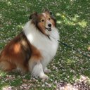 Robert Padgett - @puggers07 - Twitter