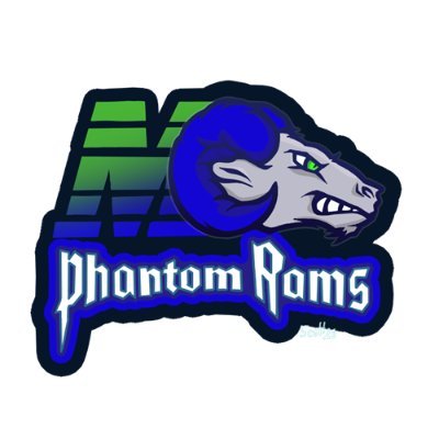 Montwood High School
Computer Maintenance Teacher
Phantom Rams Esports Coach