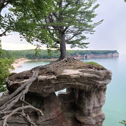 _fruitytrudy's profile picture. She/ her please.