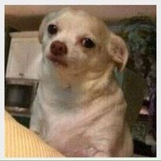 Imfuckinglost3's profile picture. Yo i'm lost here