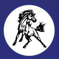 Allen East Mustangs Golf(@mustangsgolf_ae) 's Twitter Profile Photo