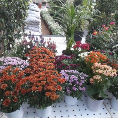 fk4pttIkOBycZfm's profile picture. 