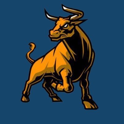 BIG_BULL_TRADES's profile picture. Just a guy, not a financial advisor.