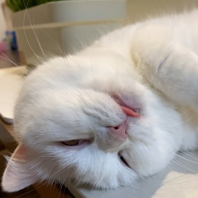 scala/haskell/Elmが好きです。(趣味レベル) 普段はPHPで仕事してます。