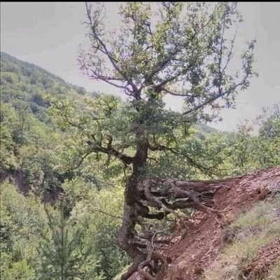 Saul21653282's profile picture. 