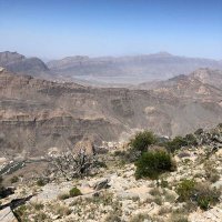 عبدالله (@59cbfyz0cwes6n4) 's Twitter Profile