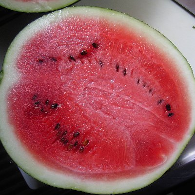 arugo4's profile picture. 勤続約35年の平社員です。
物心がついたときから、友人がいたことがありません。
残された時間は長くはないので、これから何か楽しめることを見つけたいと思っています。