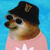 Drxsh F/A (@drxshr6) 's Twitter Profile
