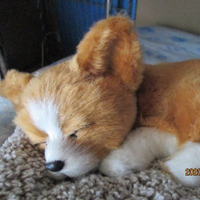 人狼オンラインに12Bでトモシビをつけようとしてるバカがワシです(-_-;)例えゲーム開始できなくてもヘコたれないω
基本12Bかワードウルフを立ててマス(●´ω`●)v
人狼以外にゎ遊戯王デュエルリンクスとDead by daylightにリムワールド Kenshi
ゴミ箱様からモロタ酉ぢゃけぇアカギツネで固定ぢゃ