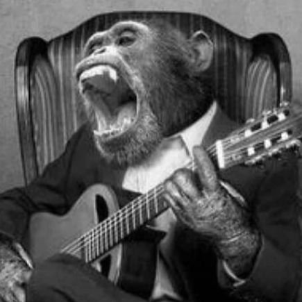 AntuanCandela's profile picture. .