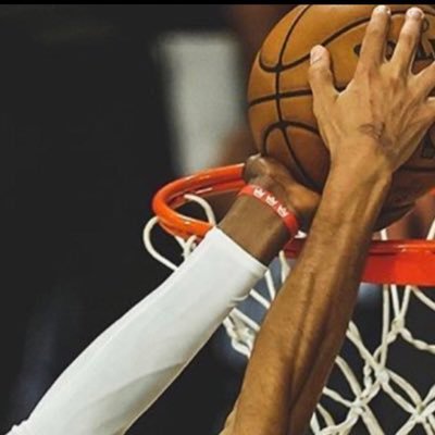 wolfbear631's profile picture. 