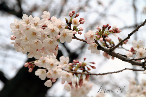 3d_eizo's profile picture. 