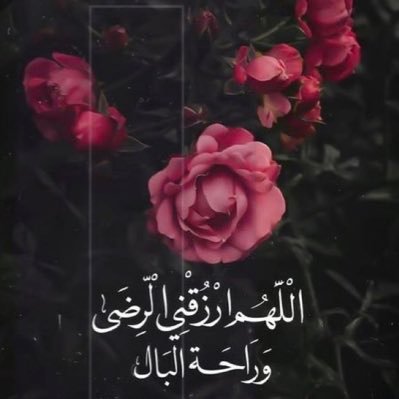 XxDAD99's profile picture. مترجمة ✨