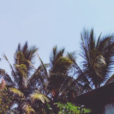 Litol28894420's profile picture. 