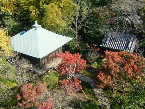 真言宗泉涌寺派準別格本山浄光明寺の公式アカウントです。不定期でお寺からの情報をお知らせいたします。(住職の個人的呟きもあり)