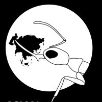 Asian Myrmecology (@asianmyrmecol) 's Twitter Profile