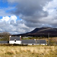 The Song House / Teach na nAmhrán 🎵💚 (@thesonghouseirl) 's Twitter Profile