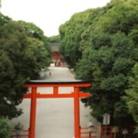 下鴨神社 (@kamomioyajinja) 's Twitter Profile Photo 下鴨神社 (@kamomioyajinja) 's Twitter Profile Photo