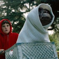 The Boss (@glowmmg) 's Twitter Profile