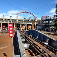 Albert (@albert31236875) 's Twitter Profile