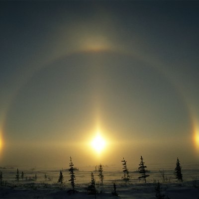 dra_ellai__'s profile picture. 