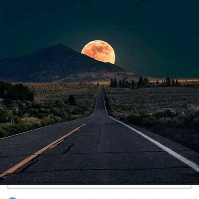 ascencio8080's profile picture.