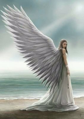 Gabriel59647007's profile picture.