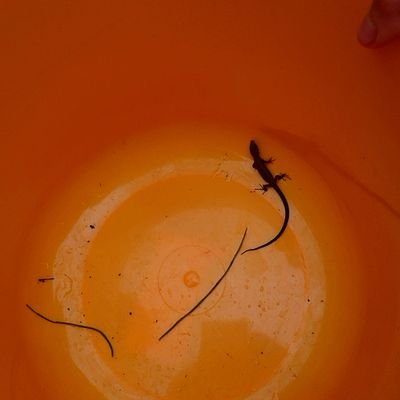 4Ro3YKt63VTCs6m's profile picture. つり