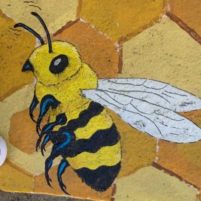 spacedeveloperr's profile picture. Space creater