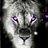 Seekthetruth101's profile image