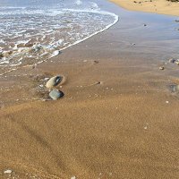 Kerri W (@kerri_welch20) 's Twitter Profile