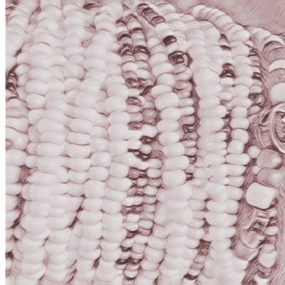 MarthaLecturer's profile picture. Lecturer Media Studies