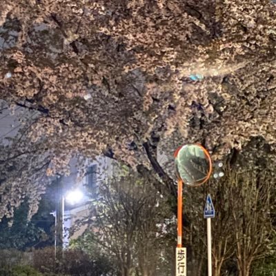 7Bt3ja6mKlWK7ZG's profile picture. 