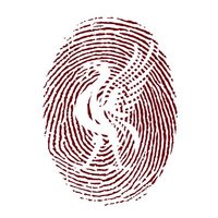 Cuban - Scouser Community (@cubanscouser) 's Twitter Profile