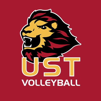 USTCeltsVB Profile Picture