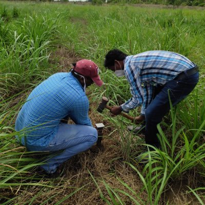 Senior Scientist, ICAR-Indian Agricultural Research Institute, India (Ph.D. Agronomy from TAMU, USA) weed science,Carbon sequestration, and cleaner production