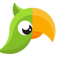 Green-cheek conure(@Green_cheekbird) 's Twitter Profile Photo