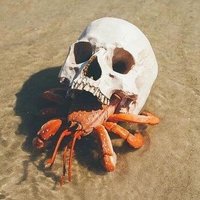 KursedKrabbo (@thetitanfallguy) 's Twitter Profile