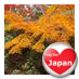 Jenny SK (@jennysk) Twitter profile photo Jenny SK (@jennysk) Twitter profile photo