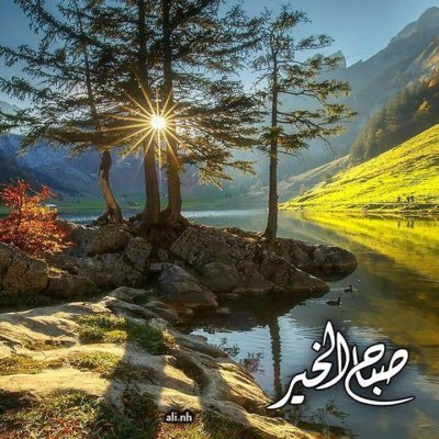 bowaleeeds's profile picture. 